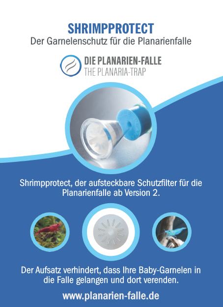 frontseite-verpackung